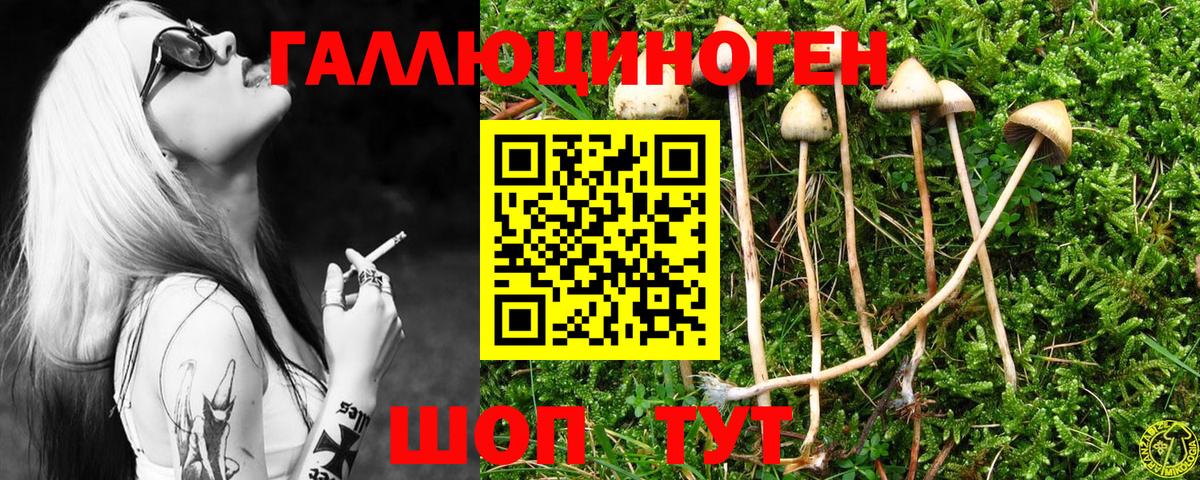 Галлюциногенные грибы Cubensis  Вход с VPN  Биробиджан  Псилоцибиновые грибы GOLDEN TEACHER 